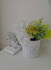 listing thumbnail image 13