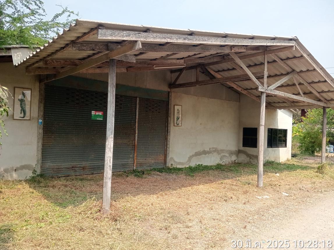 picture HOME for sale  Ban Muang Ban Pong Ratchburi - 12/26