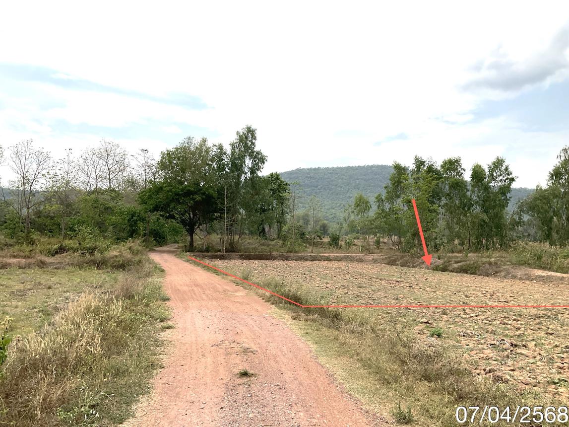 picture LAND for sale  Dong Chen Phu Kam Yao Phayao - 11/24