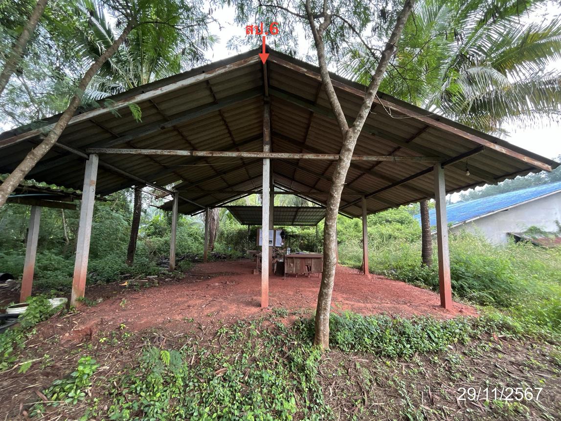 picture HOME for sale  Khunthale Muang Surat Thani Surat Thani - 37/44