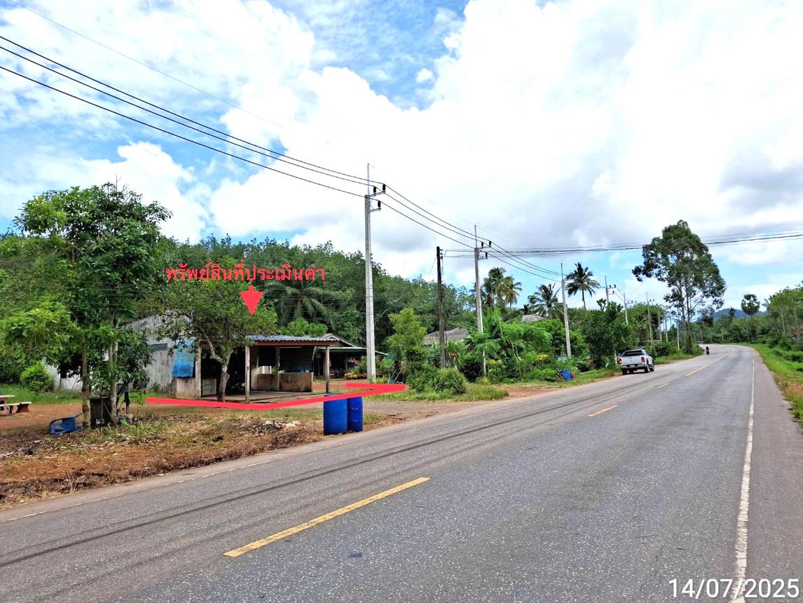 รูป บ้านเดี่ยว สำหรับขาย - บ้านนา ปะเหลียน ตรัง - รูปที่ 9/14
