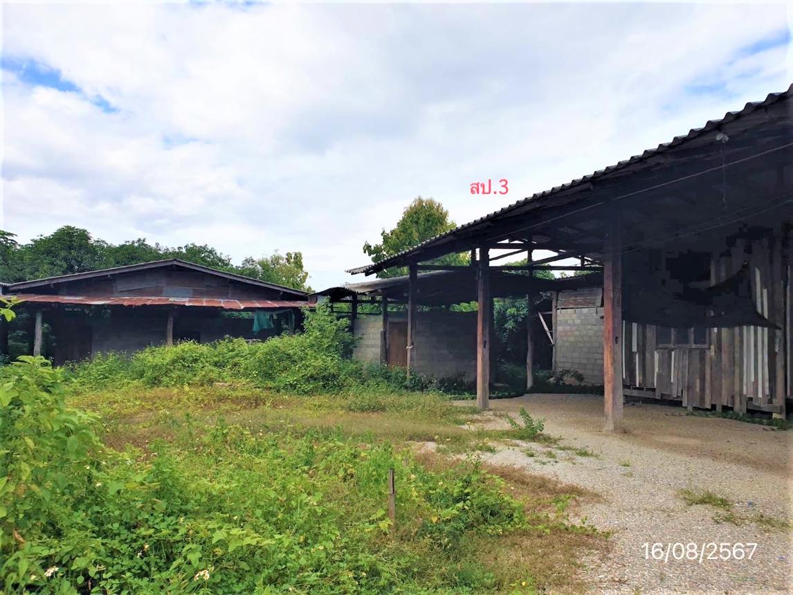 รูป บ้านเดี่ยว สำหรับขาย - เหล่ายาว บ้านโฮ่ง ลำพูน - รูปที่ 28/42