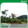 listing thumbnail image 21