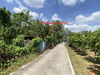 listing thumbnail image 41