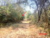 listing thumbnail image 19