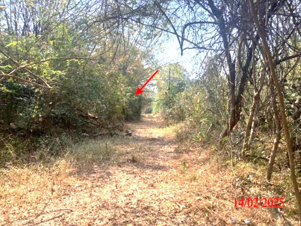 picture LAND for sale  Phichai Muang Lampang Lamphang - 20/24