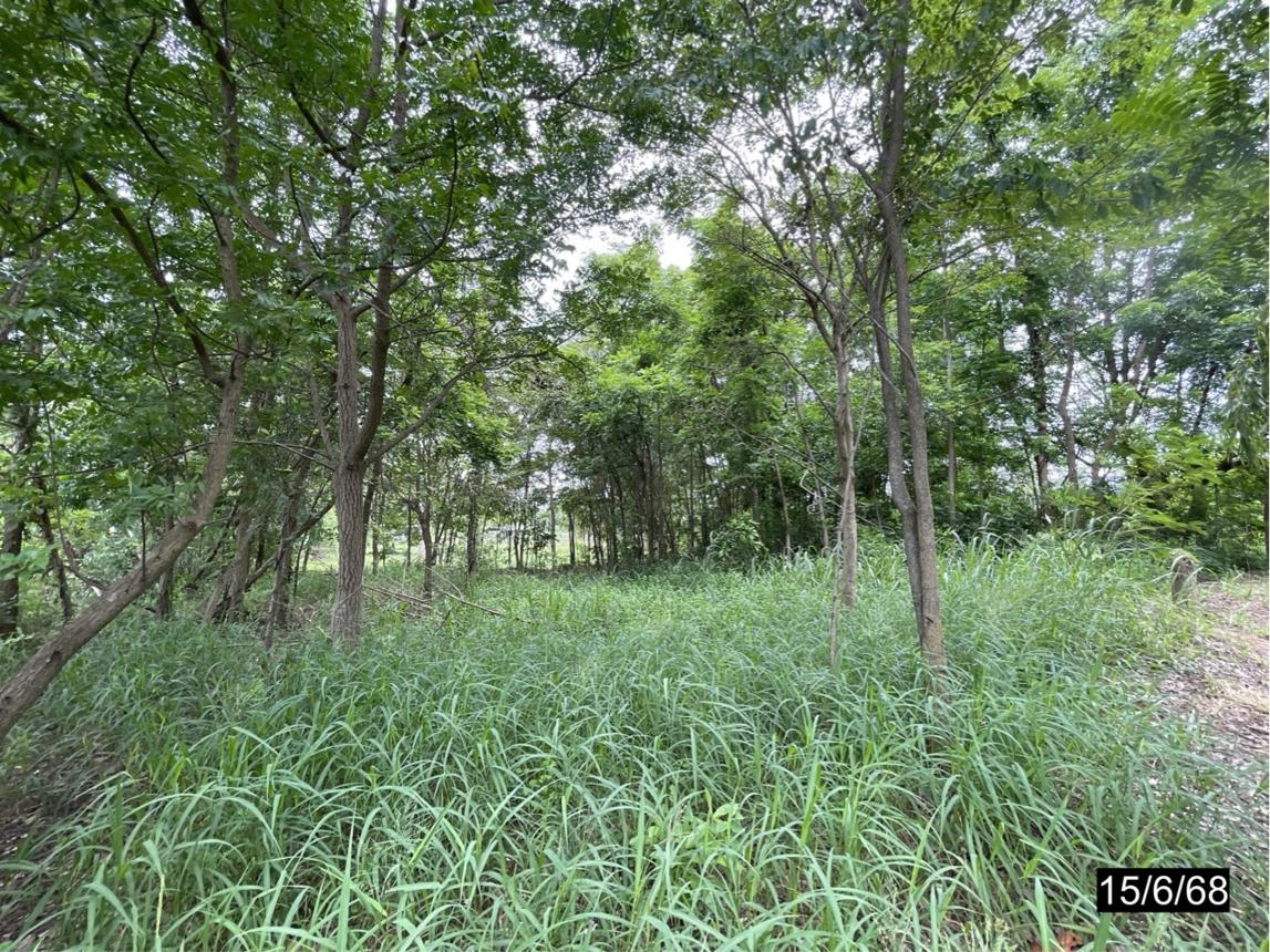 รูป ที่ดินว่างเปล่า สำหรับขาย - บ้านหว้า เมืองขอนแก่น ขอนแก่น - รูปที่ 17/24