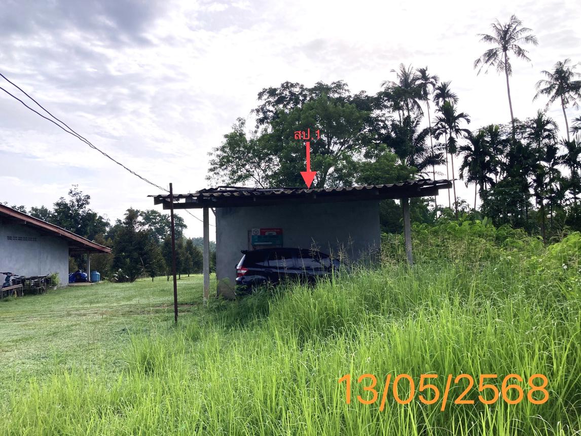 รูป บ้านเดี่ยว สำหรับขาย - พรุเตียว เขาพนม กระบี่ - รูปที่ 8/16