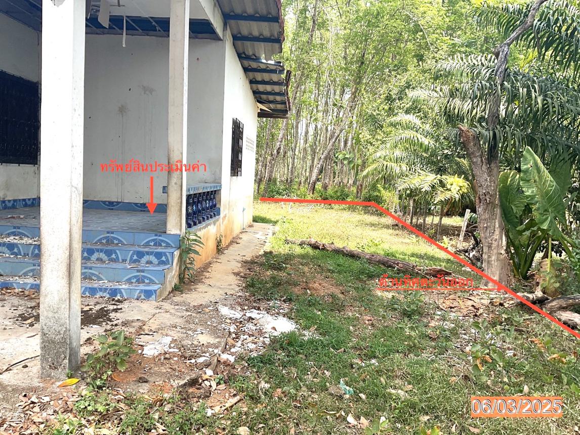 รูป บ้านเดี่ยว สำหรับขาย - บ้านนา ปะเหลียน ตรัง - รูปที่ 15/20