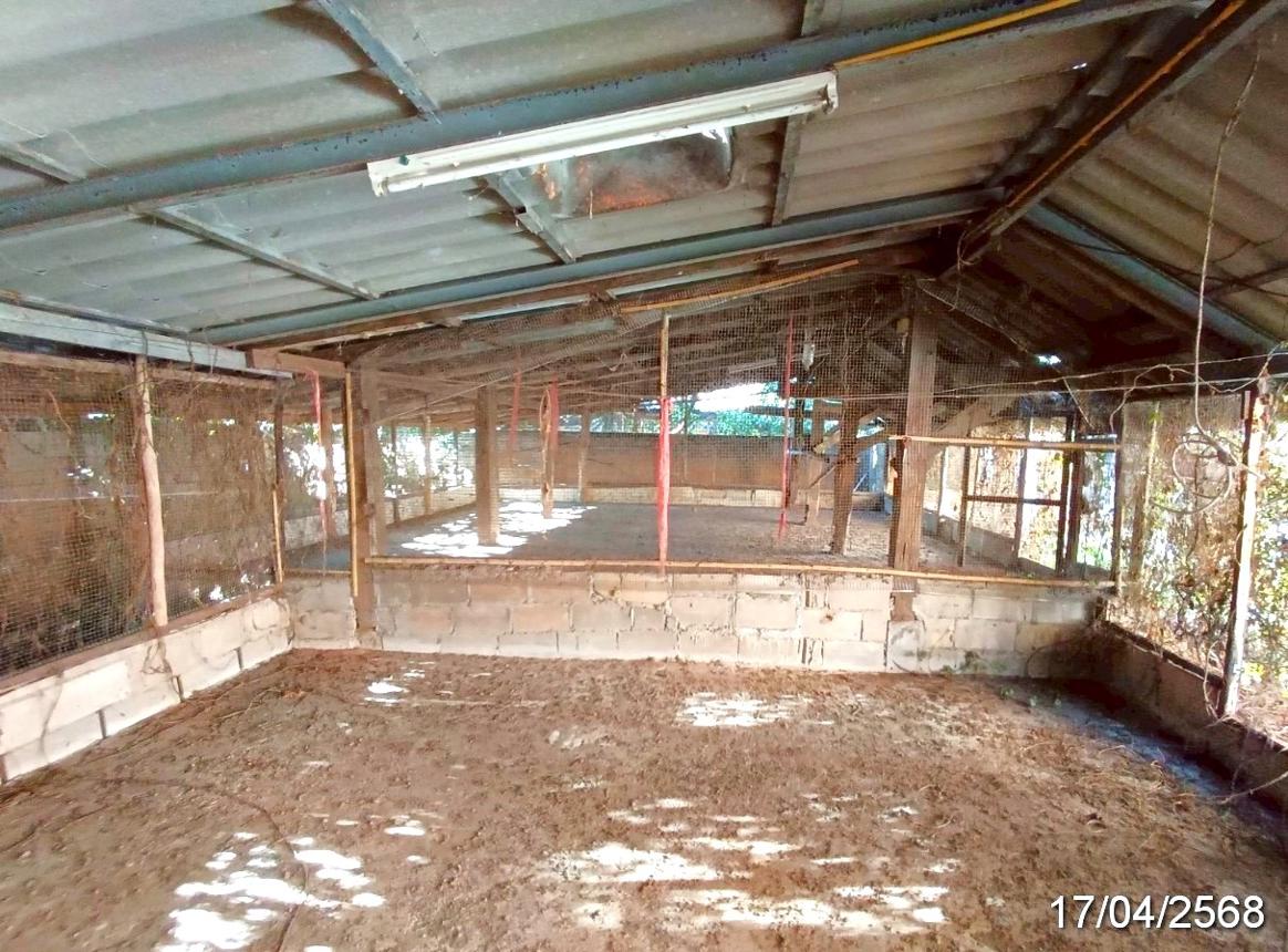 picture HOME for sale  Mae Thalop Chai Prakarn Chiang Mai - 21/28