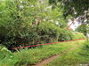 listing thumbnail image 39