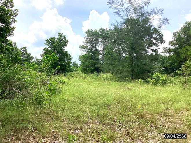 picture LAND for sale  Khron Sawi Chumphon - 5/18