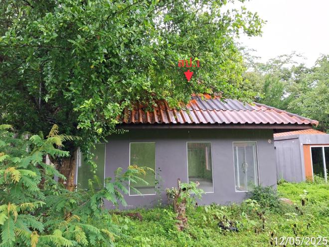 รูป บ้านเดี่ยว สำหรับขาย - วังมะปรางเหนือ วังวิเศษ ตรัง - รูปที่ 1/44