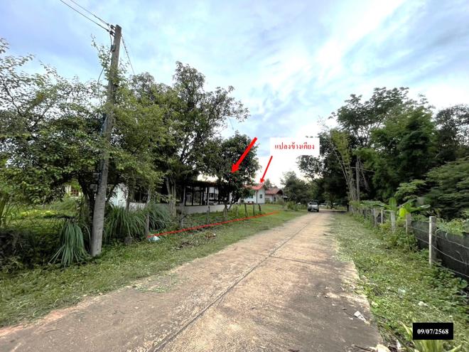 รูป บ้านเดี่ยว สำหรับขาย - ปทุมวาปี ส่องดาว สกลนคร - รูปที่ 9/24