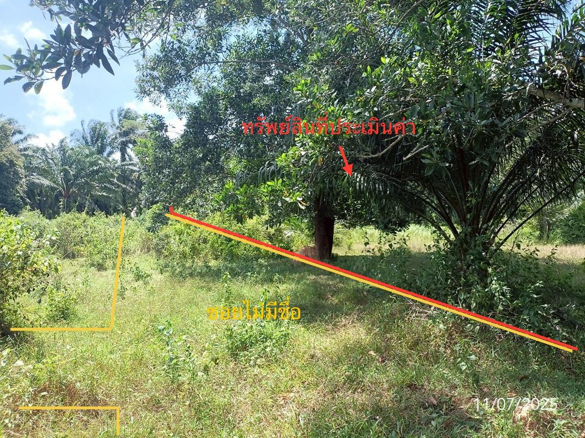 picture LAND for sale  Wang Maprang Nua Wang Wiset Trang - 19/24