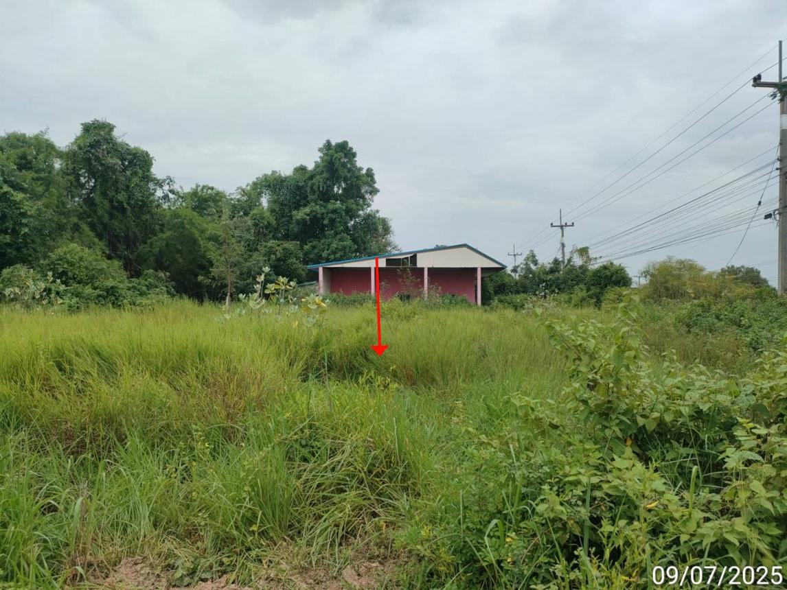รูป บ้านเดี่ยว สำหรับขาย - หนองไผ่ นาดูน มหาสารคาม - รูปที่ 23/28