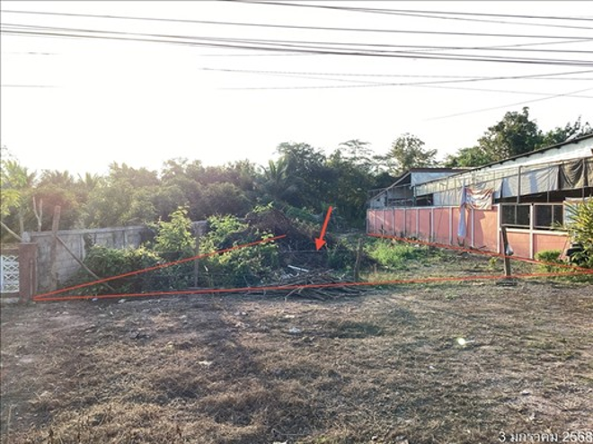 picture LAND for sale  Sri Thoi Mae Chai Phayao - 3/10