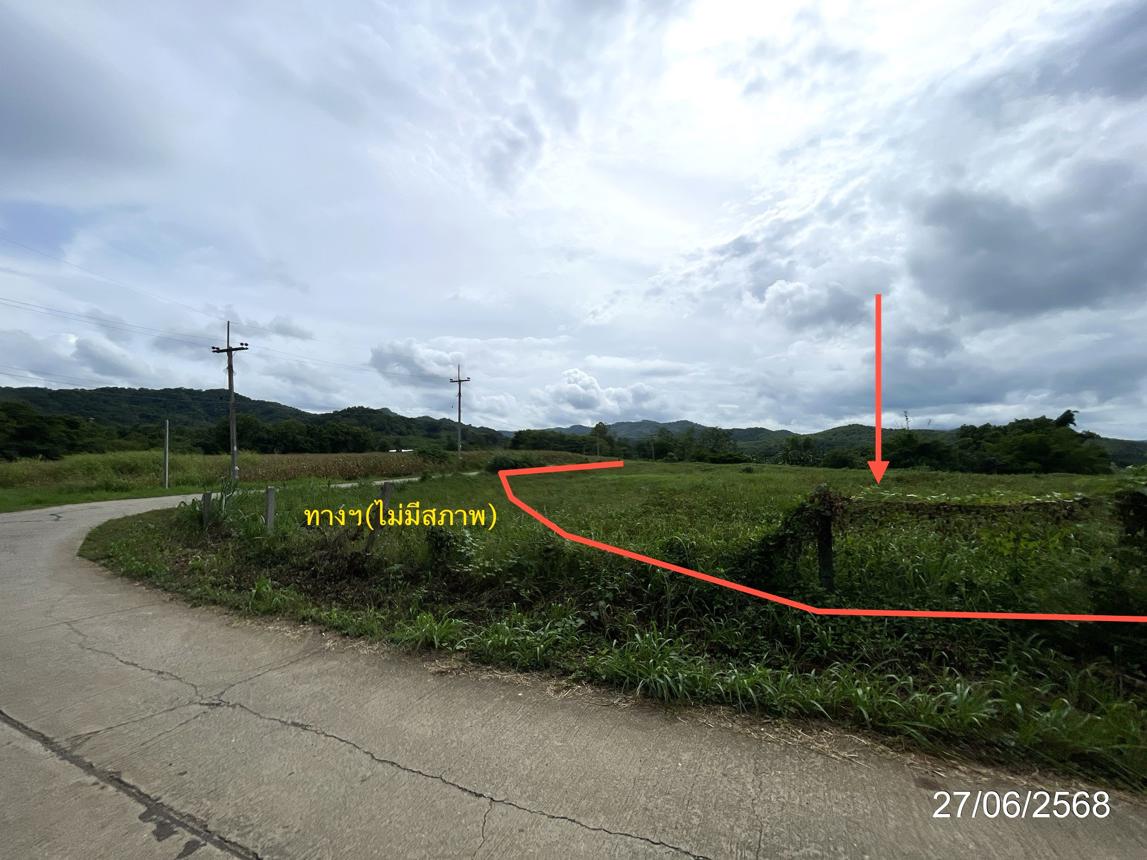 รูป ที่ดินว่างเปล่า สำหรับขาย - วังชมภู เมืองเพชรบูรณ์ เพชรบูรณ์ - รูปที่ 13/24