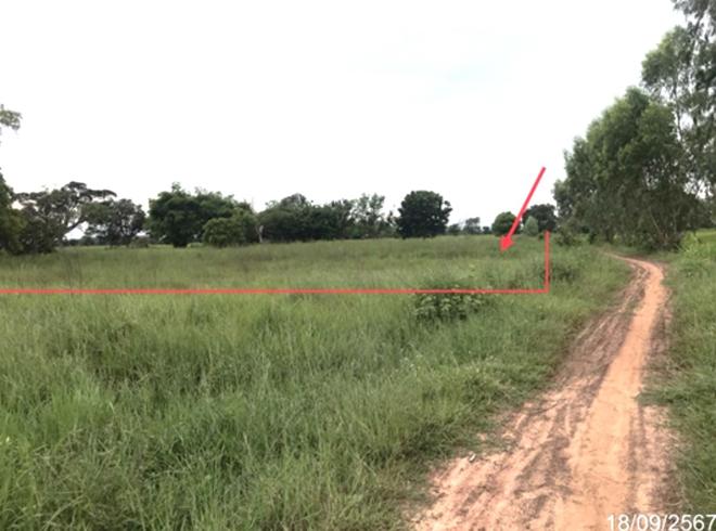 picture LAND for sale  Yo Kham Khuan Kaeo Yasothon - 1/20