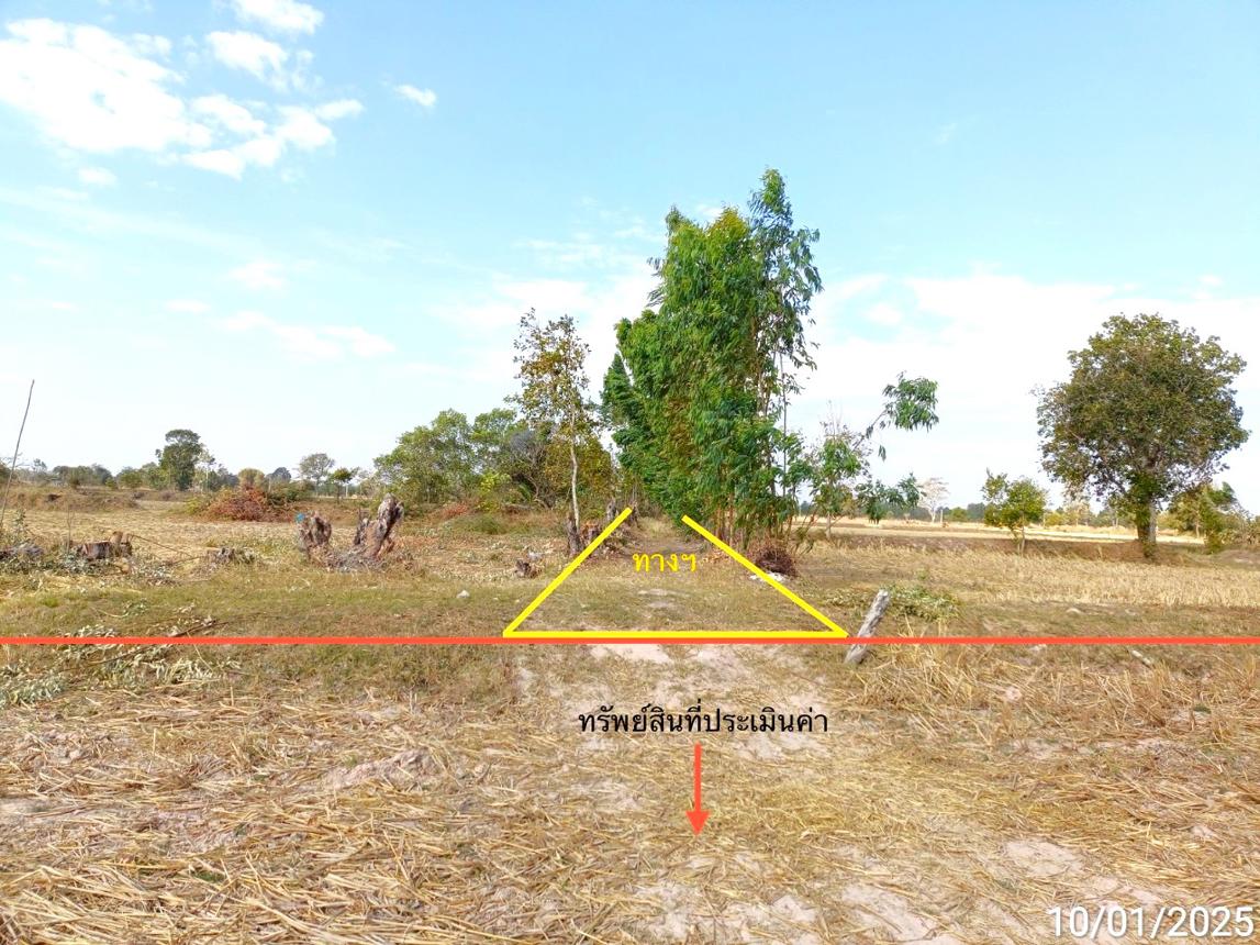 picture LAND for sale  Nam Sai Chaturaphak Phiman Roi Et - 7/14