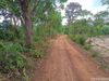 listing thumbnail image 14