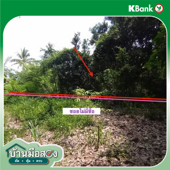 picture LAND for sale  Song Dao Song Dao Sakon Nakhon - 22/24