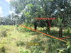 listing thumbnail image 20
