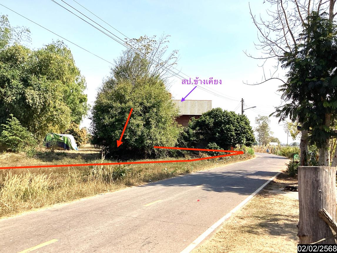 picture LAND for sale  Song Dao Song Dao Sakon Nakhon - 9/18