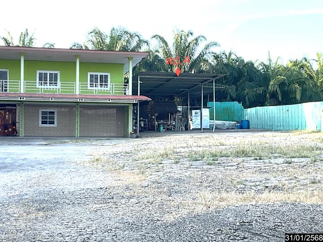 รูป บ้านเดี่ยว สำหรับขาย - วังมะปรางเหนือ วังวิเศษ ตรัง - รูปที่ 7/24