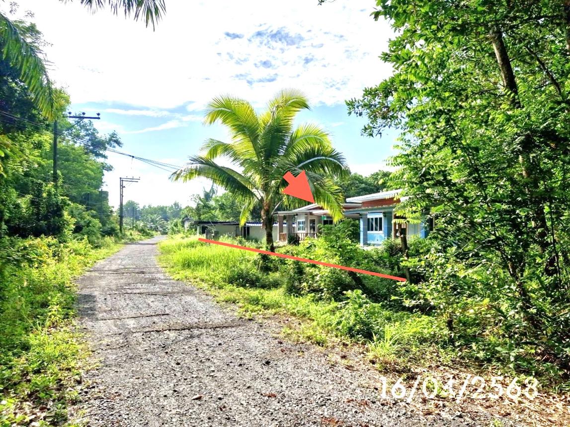 รูป บ้านเดี่ยว สำหรับขาย - คลองปาง รัษฎา ตรัง - รูปที่ 36/40