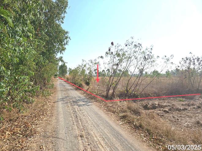 picture LAND for sale  Mae Raka Wang Thong Phitsanulok - 1/14