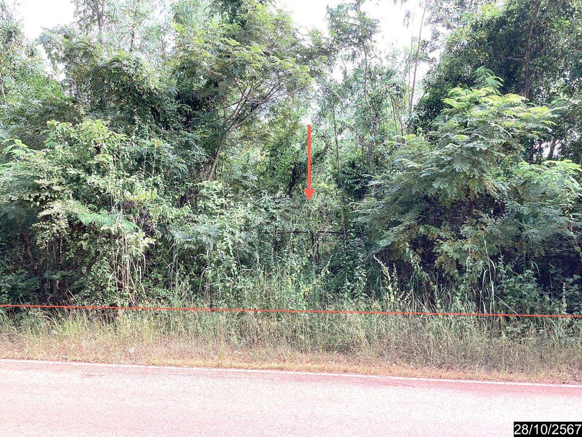 picture LAND for sale  Song Hong Muang Nong Khai Nongkai - 13/28