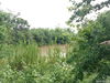 listing thumbnail image 21