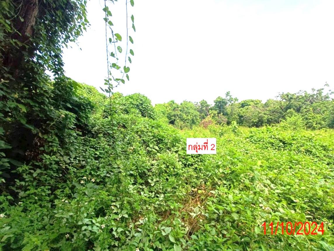 รูป บ้านเดี่ยว สำหรับขาย - หนองปลาสะวาย บ้านโฮ่ง ลำพูน - รูปที่ 24/30