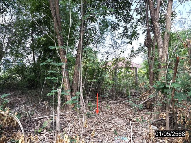 รูป ที่ดินว่างเปล่า สำหรับขาย - เมืองเก่า เมืองขอนแก่น ขอนแก่น - รูปที่ 4/24