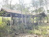 listing thumbnail image 31
