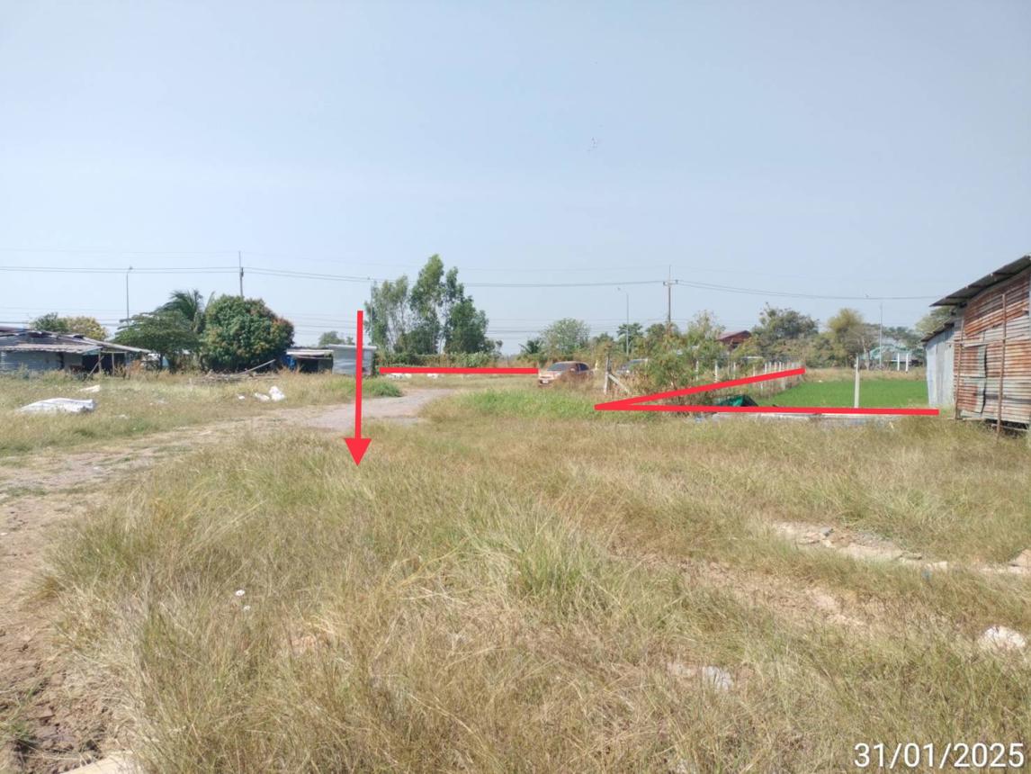 รูป ที่ดินว่างเปล่า สำหรับขาย - หนองยาว เมืองสระบุรี สระบุรี - รูปที่ 8/14