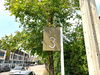 listing thumbnail image 8
