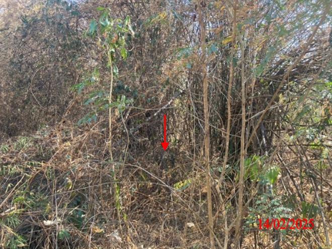 picture LAND for sale  Phichai Muang Lampang Lamphang - 8/24