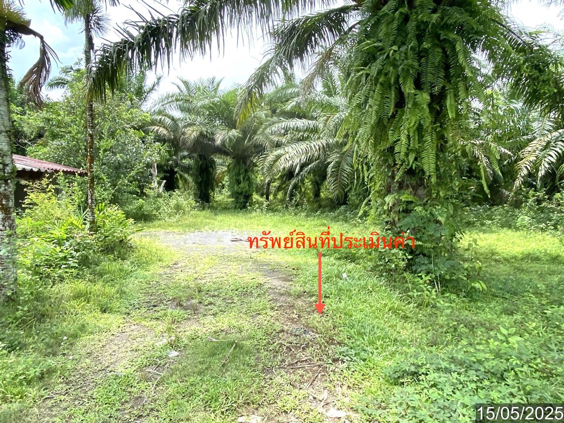รูป บ้านเดี่ยว สำหรับขาย - บ้านโพธิ์ เมืองตรัง ตรัง - รูปที่ 24/32