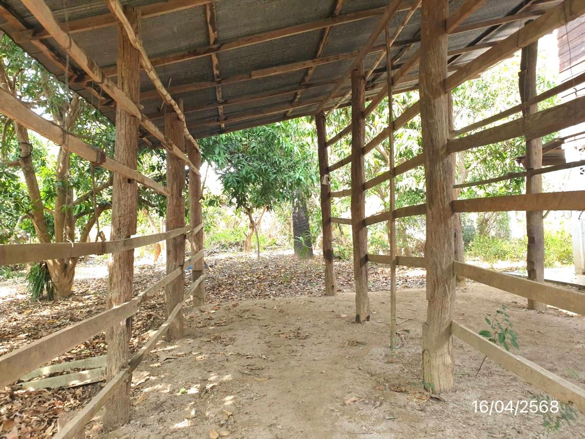 รูป บ้านเดี่ยว สำหรับขาย - ศรีเตี้ย บ้านโฮ่ง ลำพูน - รูปที่ 31/38