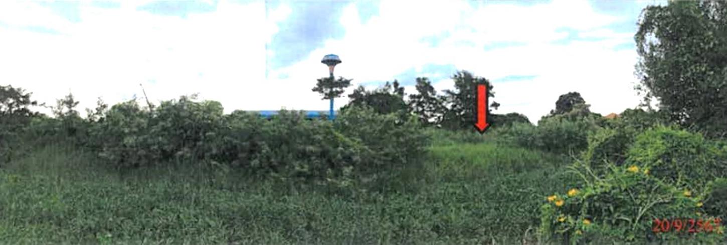 picture LAND for sale  Rua Yai Muang Suphanburi Suphanburi - 8/14