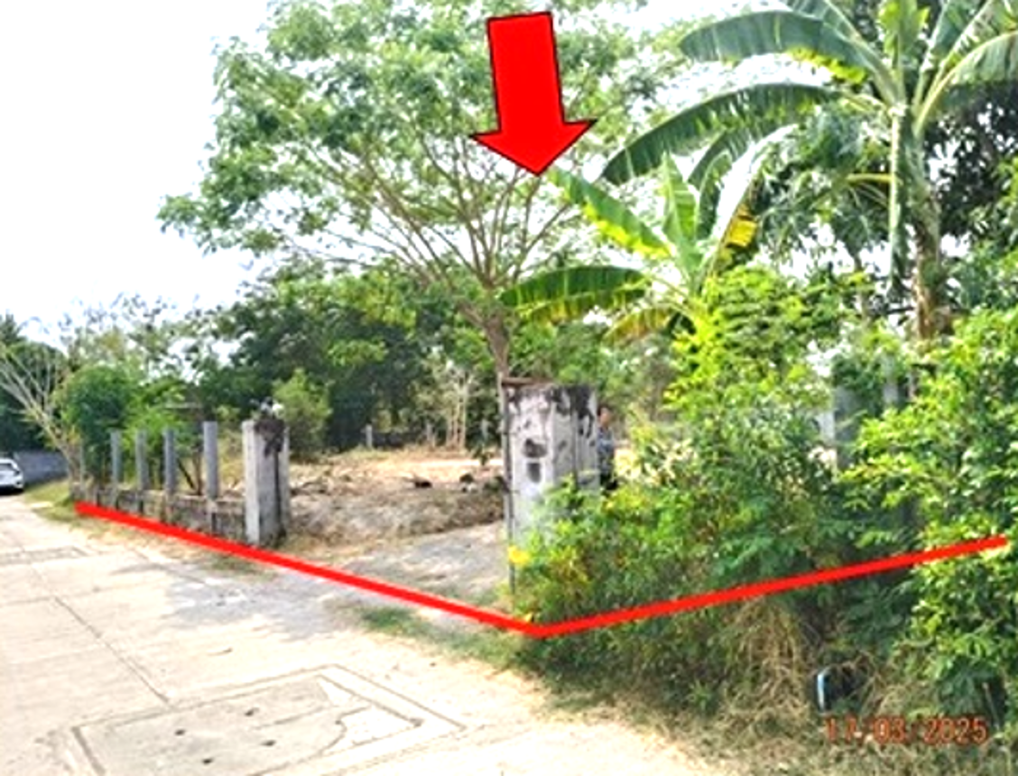picture LAND for sale  Muang Samsip Muang Samsip Ubon Ratchathani - 15/20