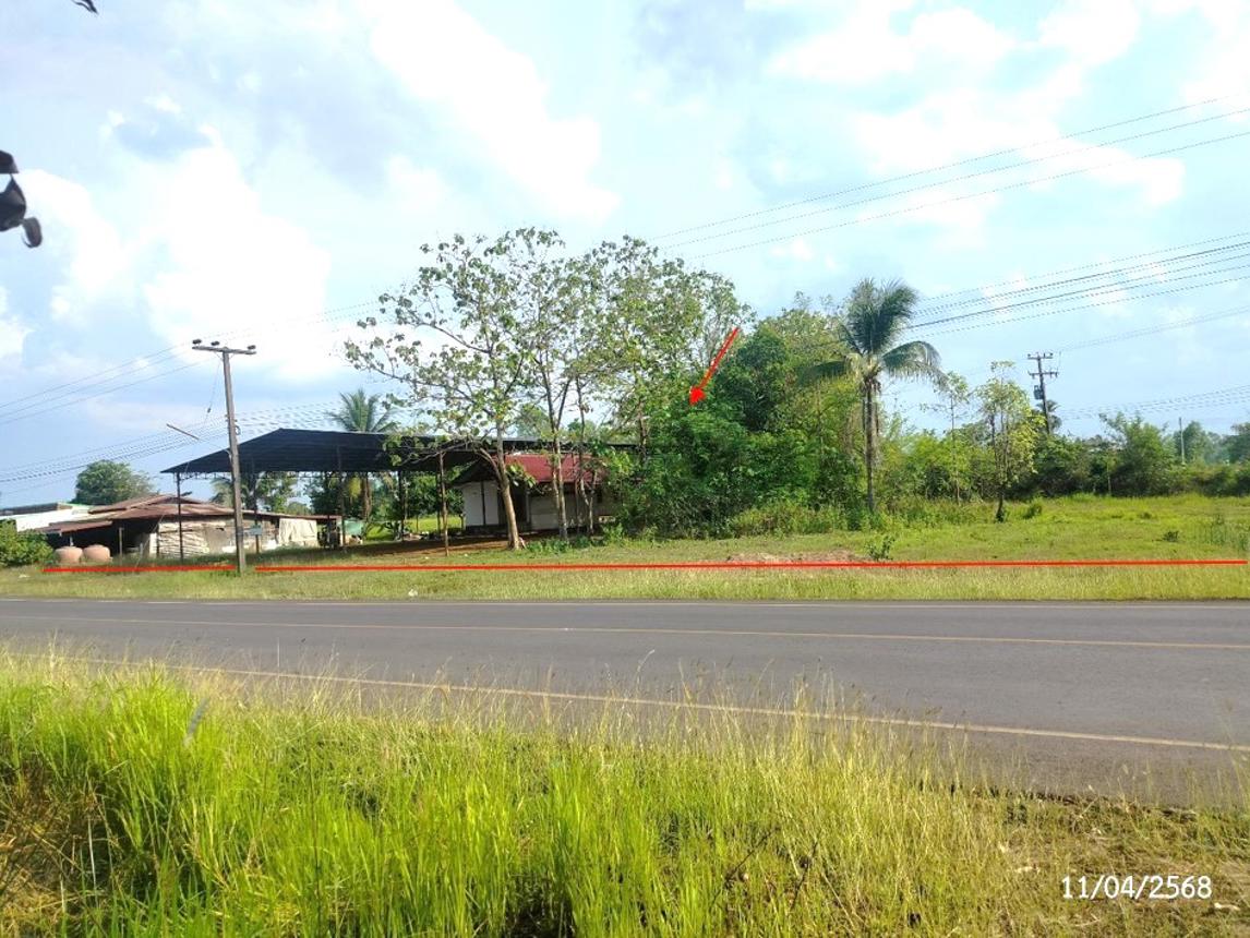 รูป บ้านเดี่ยว สำหรับขาย - ขมิ้น เมืองสกลนคร สกลนคร - รูปที่ 38/42