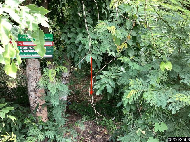 picture LAND for sale  Song Dao Song Dao Sakon Nakhon - 5/18