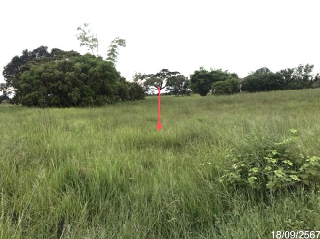 picture LAND for sale  Yo Kham Khuan Kaeo Yasothon - 4/20