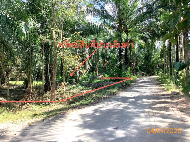 รูป บ้านเดี่ยว สำหรับขาย - วังมะปรางเหนือ วังวิเศษ ตรัง - รูปที่ 16/36