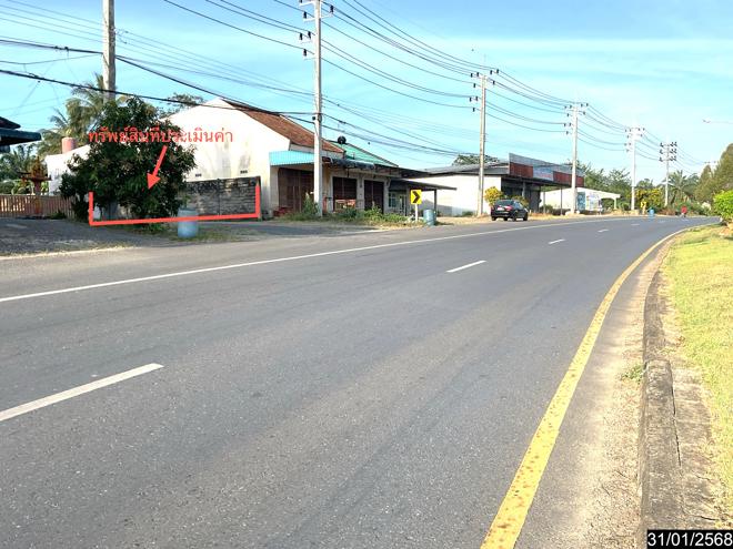 รูป บ้านเดี่ยว สำหรับขาย - วังมะปรางเหนือ วังวิเศษ ตรัง - รูปที่ 10/24