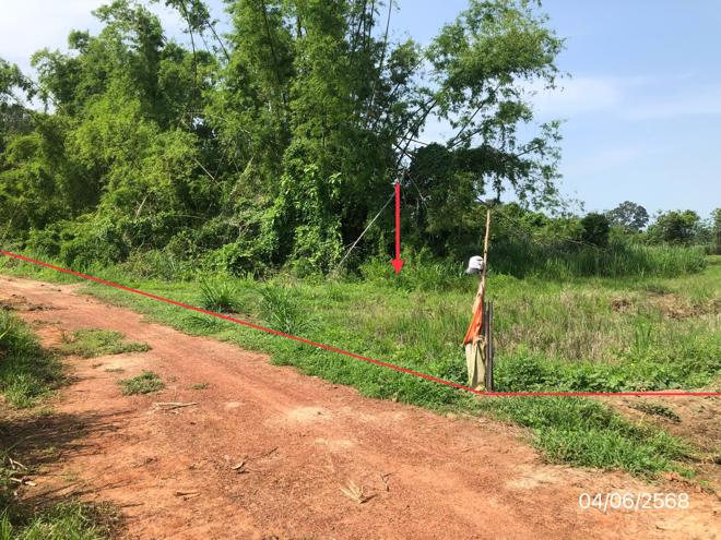 picture LAND for sale  Noen Kum Bang Krathum Phitsanulok - 4/22