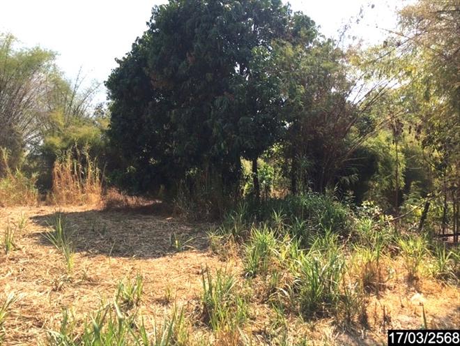 picture LAND for sale  Kung Kao Tha Khan Tho Kalasin - 5/22